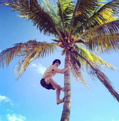Alex climbing a palm tree under a blue sky